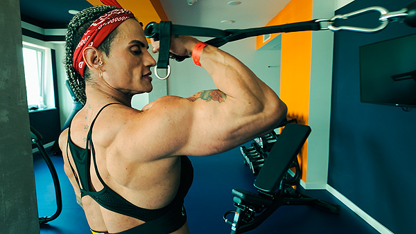 Alcione Santos Vol. 1